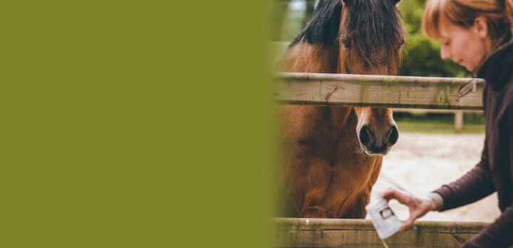 natures best spezialitaeten img banner